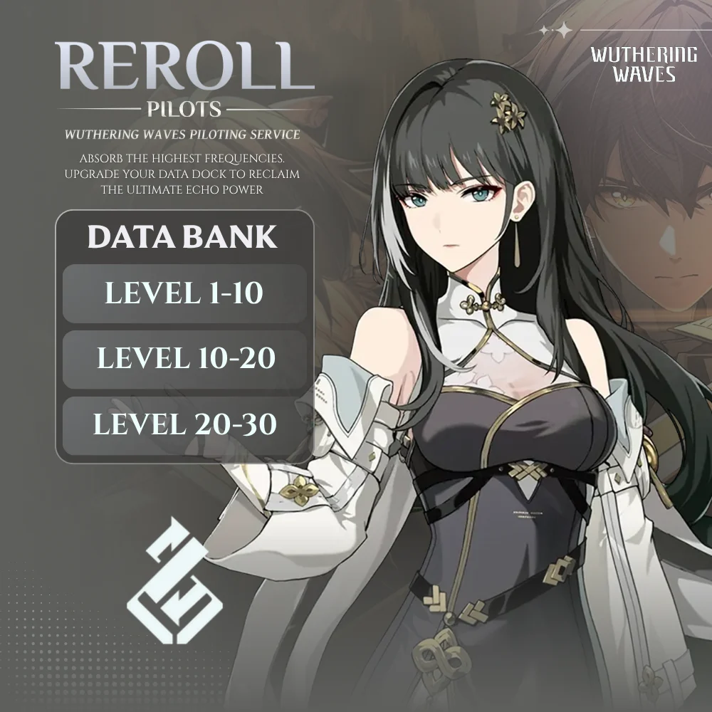 WuWa Data Bank Leveling